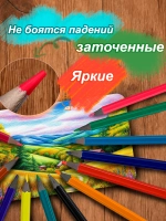 Карандаши цветные Basir "Зебра" 12 цветов пластиковые шестигранные набор для школы рисования яркие