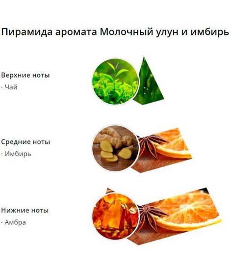 Свеча ароматическая в керамике Молочный улун и имбирь, Wax Lyrical