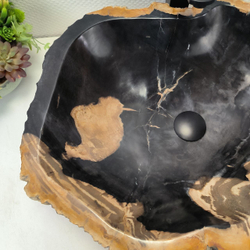 Раковина из окаменелого дерева Fossil Basin OD-02482 (58*51*15 см)