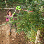 Кусторез GREENWORKS 24 V штанговый без акк и з/у   2300707