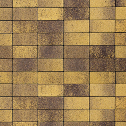 Тротуарная плитка ПРЯМОУГОЛЬНИК 200x100 мм - Листопад гранит Янтарь