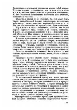 Пчеловодство. Четвертое издание | П.С. Щербина