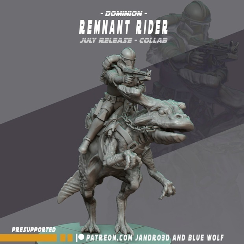 Star War Remnant Rider