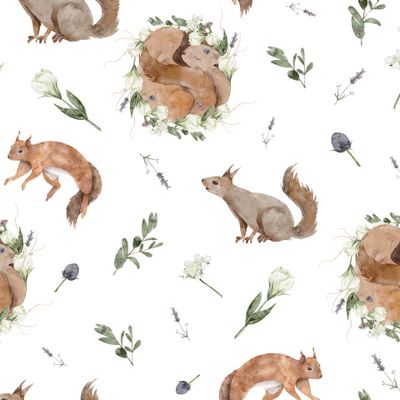 Белки белый фон