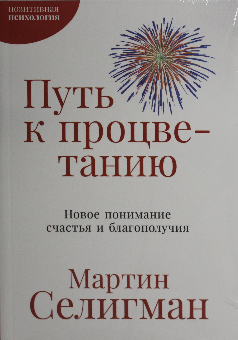 Путь к процветанию: Новое понимание счастья и благополучия