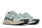 Кроссовки Nike Pegasus Trail 3 Gtx (Женская размерная сетка)