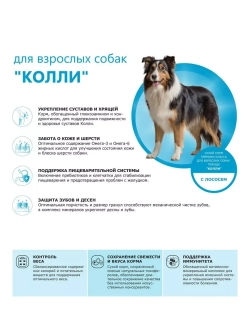 Сухой корм для собак породы Колли, с лососем, 2,5 кг