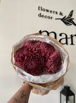 Моно из одноголовой хризантемы бордового оттенка ПОВТОР