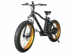 Электрофэтбайк Hoverbot FB-2 PRO FATBIKE
