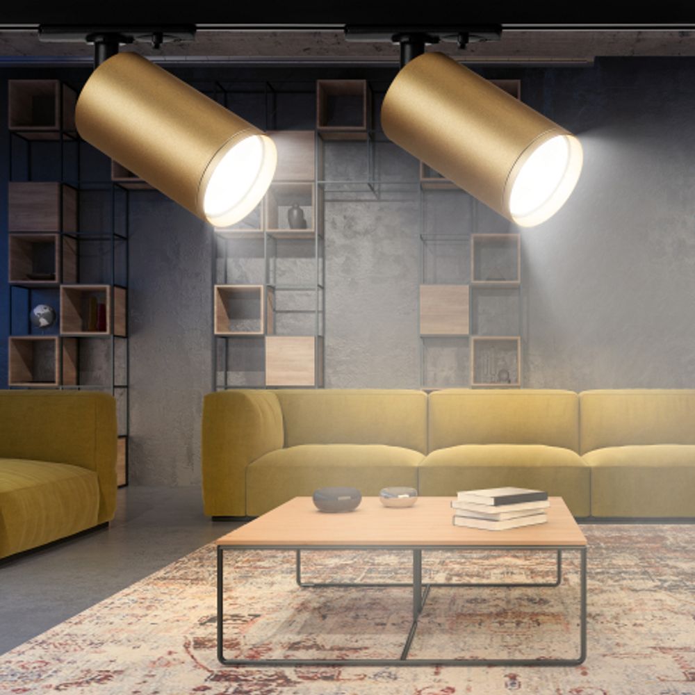 Трековый светильник однофазный ЭРА TR39-GU10 MG под лампу GU10 золото