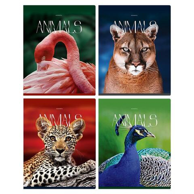 Тетрадь А5 96л. клетка "Животные" (BG)