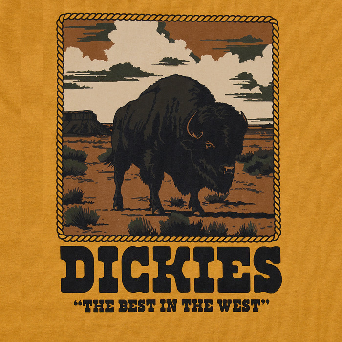 Футболка мужская Dickies Darrtown Short Sleeve Tee 