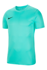 Футболка Nike Dry Park VII SS