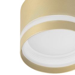 Citilux Hardy CL002C12 Светильник накладной Золото