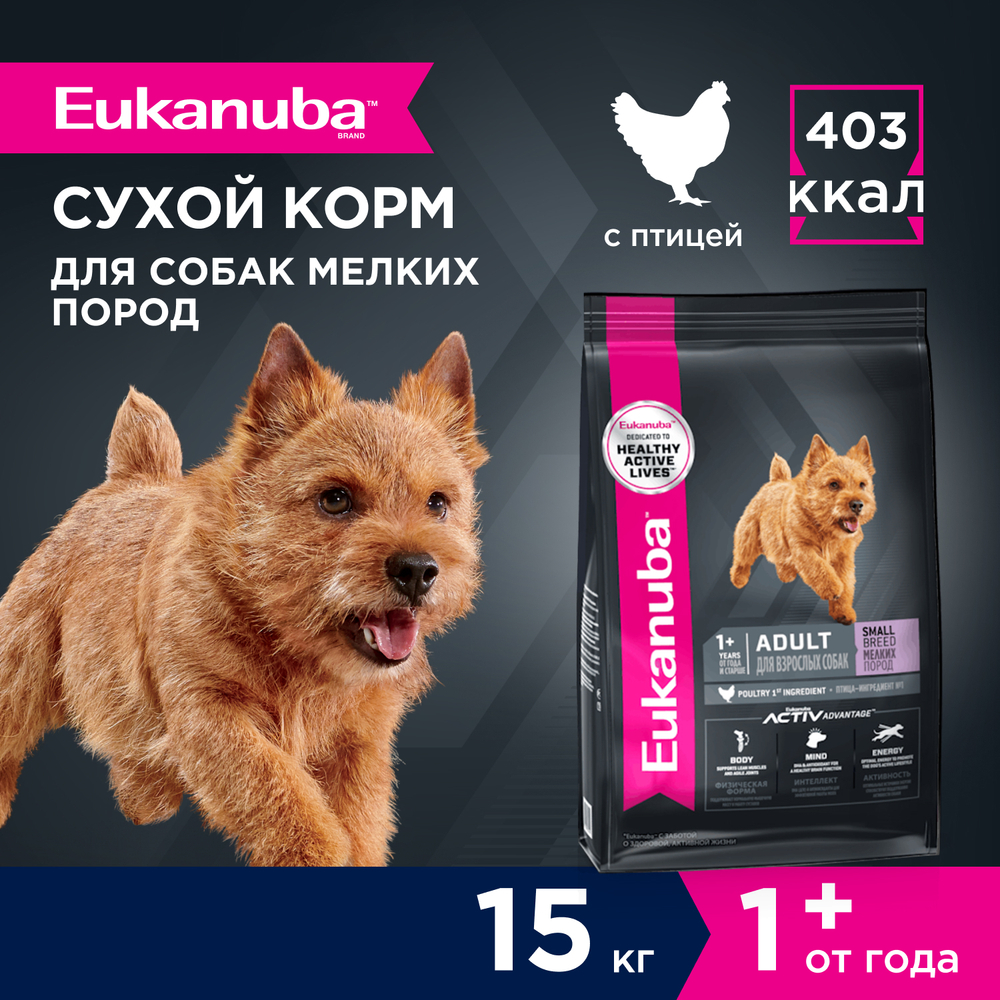 Сухой корм Eukanuba Adult Small Breed 1+ years для взрослых собак мелких пород с курицей 15 кг