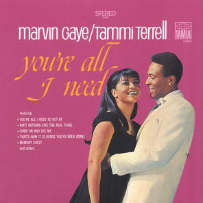 Marvin Gaye, Tammi Terrell / You're All I Need (LP)