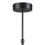 Люстра на штанге Lumion VIRSAVA 8234/6C