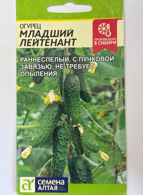 Огурец Младший лейтенант F1 5 шт СМО-100