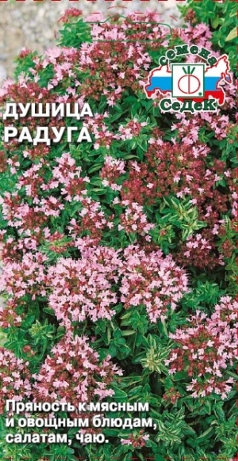 Душица Радуга (Седек) 0,05г