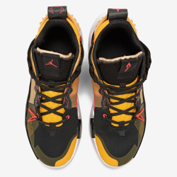 Кроссовки баскетбольные Nike Air Jordan Why Not Zer0.2 SE