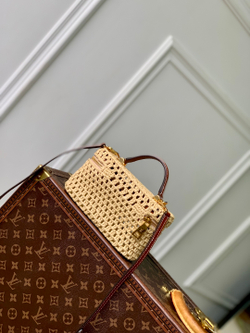 Louis Vuitton Vanity Chain Pouch