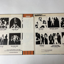 Винтажная виниловая пластинка LP Suzi Quatro Story Golden Hits (Japan 1975) (Obi, Poster) Daytona Demon