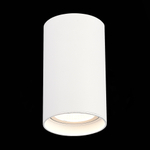 ST157.542.20 Светильник потолочный Белый LED 1*20W 4000K 1 600Lm Ra&gt;90 60° IP44 D95xH150 220-265V Накладные светильники