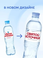 Вода негазированная Святой Источник, 12 шт х 0,5 л