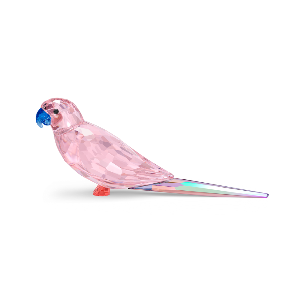 JUNGLE BEATS:PINK PARAKEET