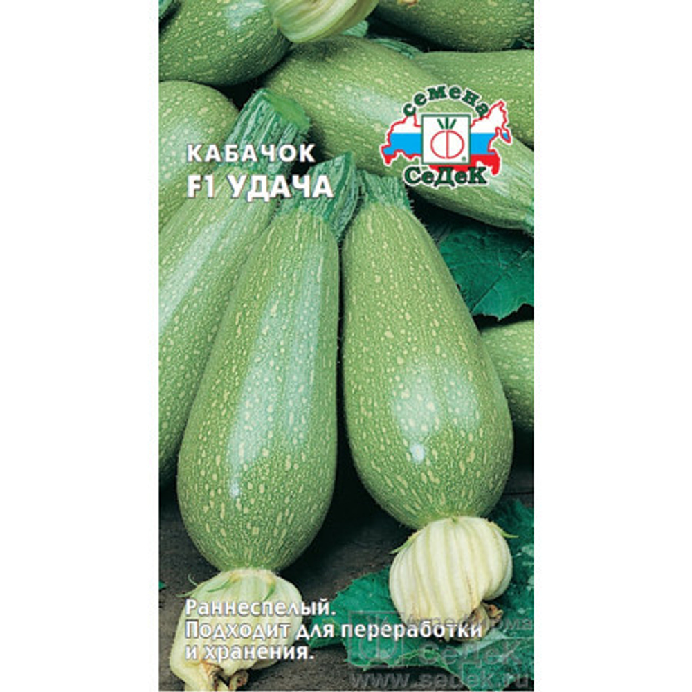 Кабачок Удача 2г Ц СеДеК