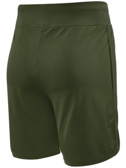 Мужские теннисные шорты Hydrogen Tech Shorts Man - зеленый