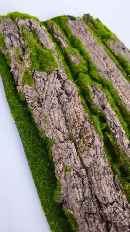 Кора на мху / Арт 9042