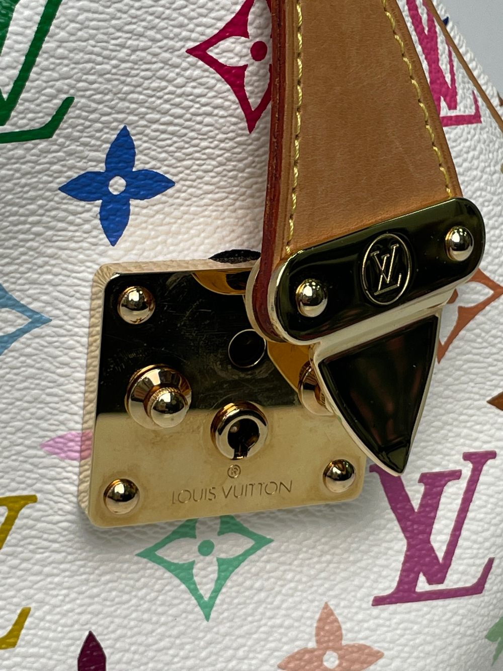 Сумка Louis Vuitton Speedy 30 Multicolor
