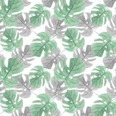 Листья монстеры