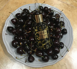 Mancera Wild Cherry