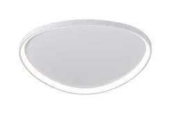 2550/850 WHITE (1) Потолочный светильник (RL)