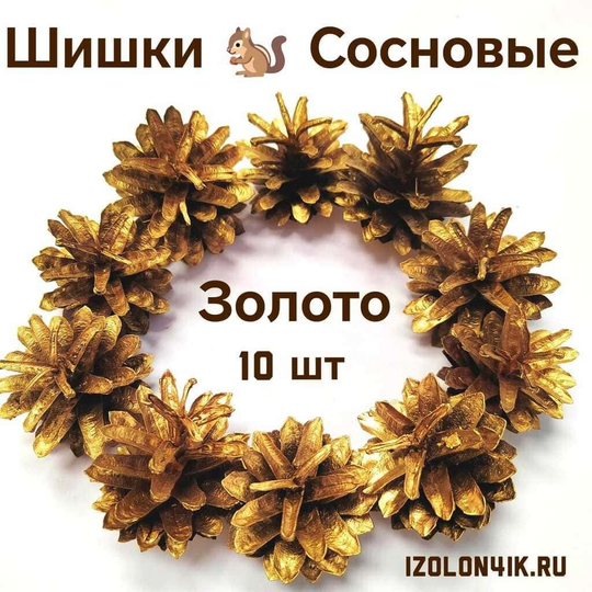 Шишки сосновые для поделок и декора 10 шт. (ЗОЛОТО)