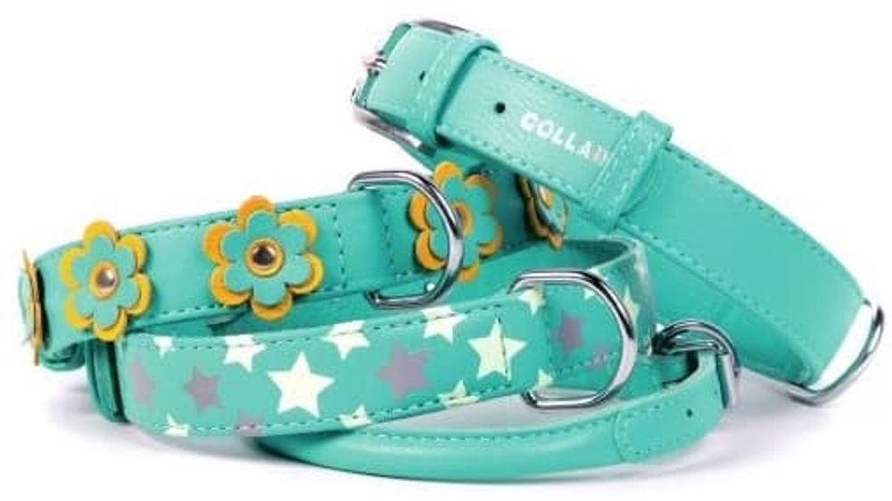 Ошейник "CoLLaR GLAMOUR" без украшений ментоловый (ш9мм дл19-25см)