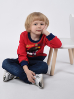 Толстовка для мальчика