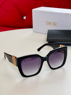 Christian Dior Glasses