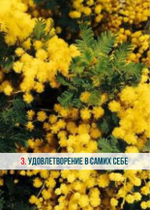 Карты Текучего Существования