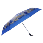 Зонт Fabretti UFLR0042-8