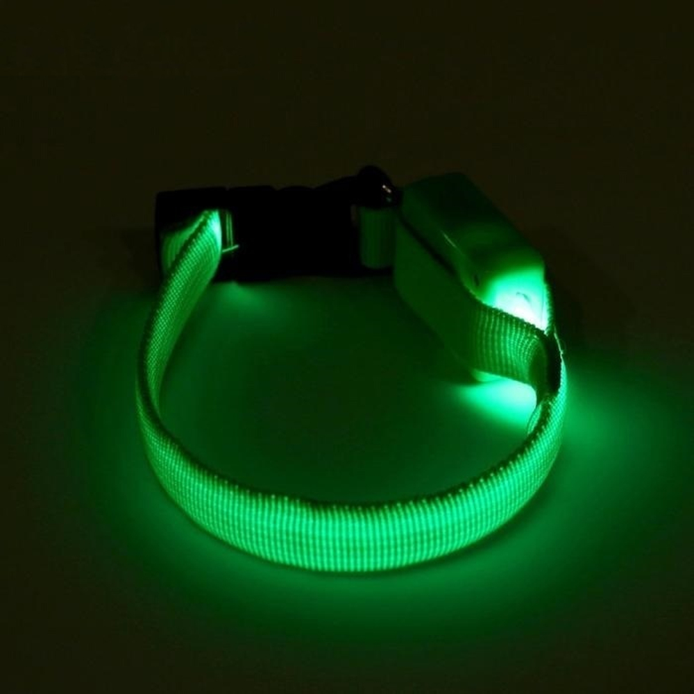 Ошейник светящийся узкий для небольших собак, 3 режима, 26см, Зеленый