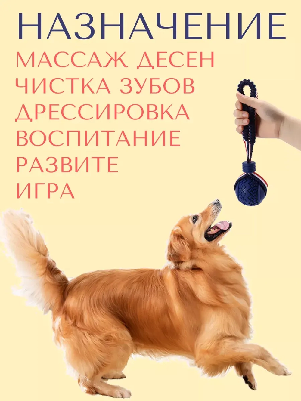 Прочная игрушка-мяч для собак средних-крупных пород