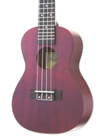 ARIA ACU-1 Укулеле Concert