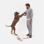 Настраиваемый поводок Hot Flames с автоблокировкой