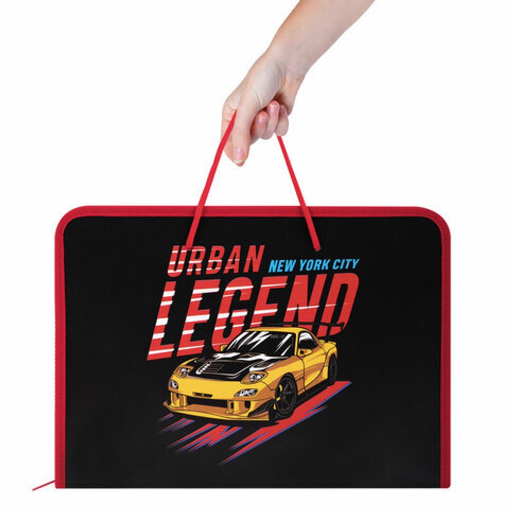 Папка для труда на молнии с ручками ПИФАГОР А4, 1 отделение, пластик, органайзер, "Street Legend", 271473