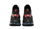 Кроссовки Nike Lebron 19 Doernbecher Freestyle 19