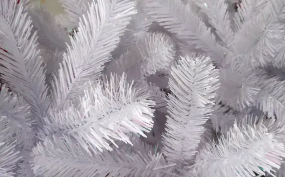 Елка Исландская белоснежная в мешочке 90 см., мягкая хвоя, Triumph Tree (73817)