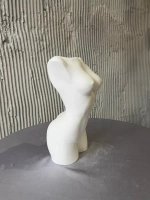 Ваза Торс для сухоцветов и декора